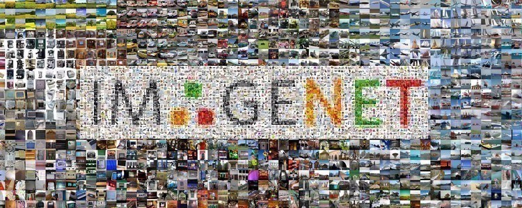 Image Datasets